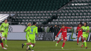 Koen Casteels Good Job GIF by VfL Wolfsburg