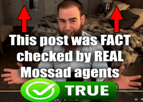 Mossad Agent GIF