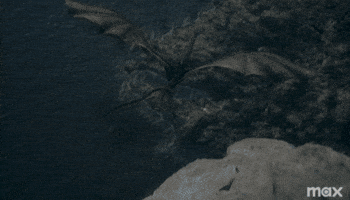 Hotd GIF by Game of Thrones