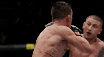 Episode 8 Mma GIF by UFC