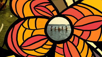 Wild Honey Surf GIF by The Beach Boys