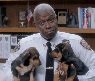 Image result for puppies gif brooklyn 99