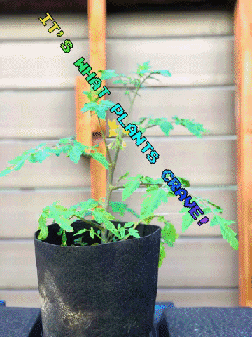 Smart Pots GIF