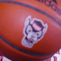 Hobby GIF by NC State Athletics