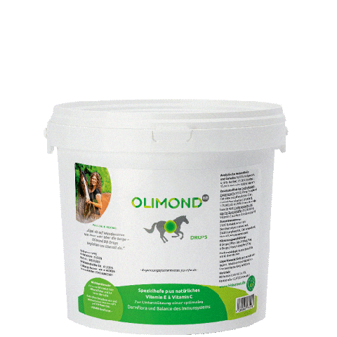 Supplements Vitamins Sticker by BB Horses