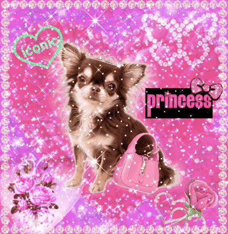 Dog Puppy GIF by Paris Hilton