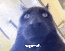 Black Cat GIF