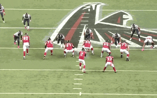 falcons