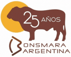Campo Toro GIF by Bonsmara Argentina