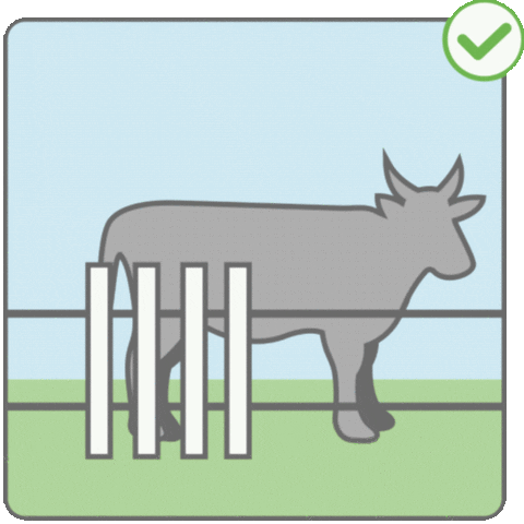 GIF by Zugspitz Region