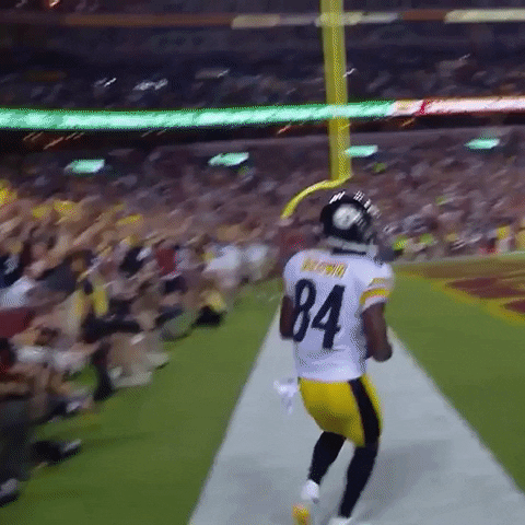 gossiponthis nfl twerking pittsburgh steelers GIF