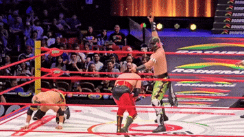 Lucha Libre Wrestling GIF