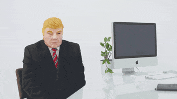 Donald Trump GIF by Sebastien Forcier