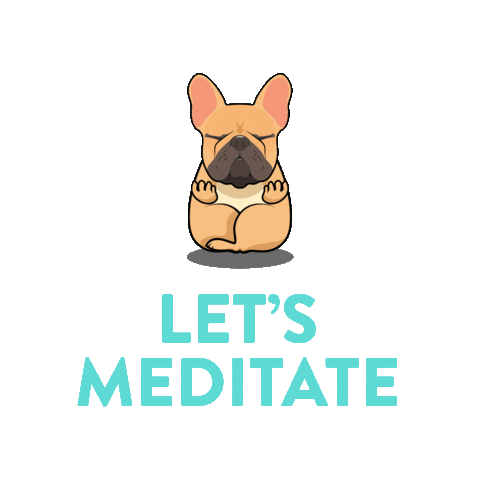 Meditation Meditate Sticker by paleomg