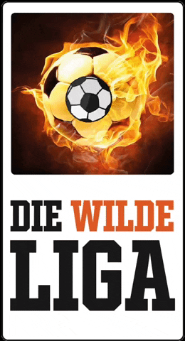 Wildeliga soccer fussball augsburg liga GIF