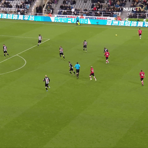 Newcastle United Tackle GIF by Newcastle United Football Club