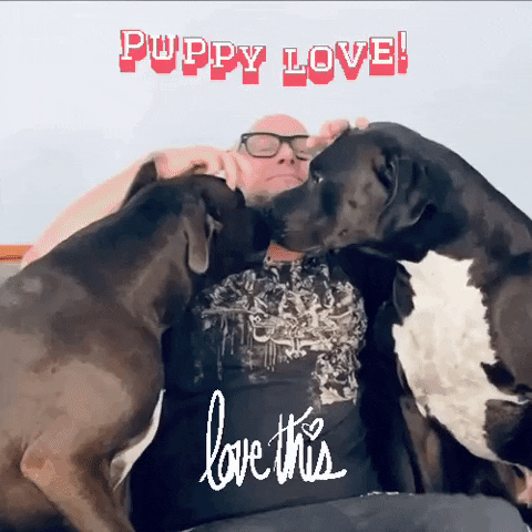 transgreaser love dog kiss dogs GIF