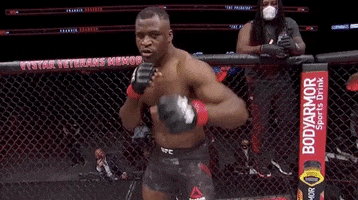 Francis Ngannou Sport GIF by UFC