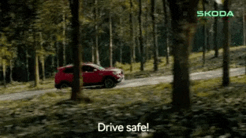Cars Drive Safe GIF by Skoda India