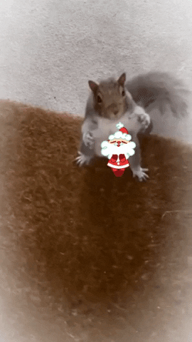 Christmas GIF