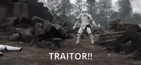Giphy - Traitor GIF by memecandy