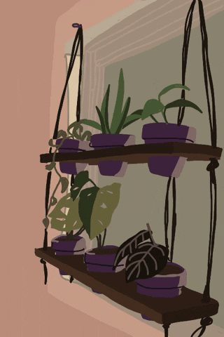 krystinariley chill smoke plants window GIF