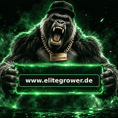 Green Energy Hype GIF by EliteGrower