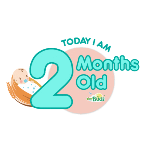 today i am 2 months old