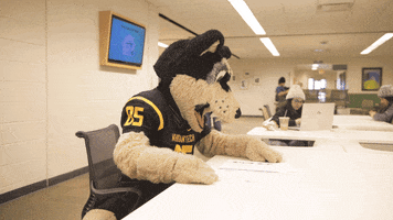 Confused Mascot GIF by Michigan Tech