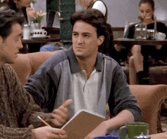 Season 1 Friends GIF