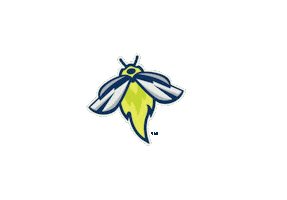 Columbia Fireflies Sticker