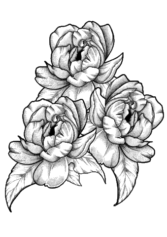 Flower Line Drawing Sticker