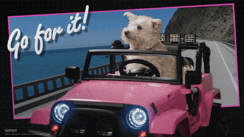 You Can Do It Dog GIF by Originals