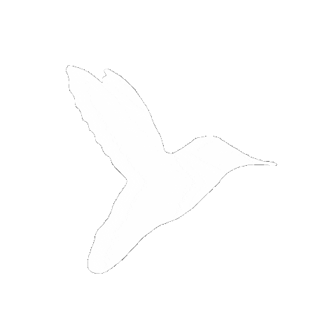 We are Hummingbird Sticker