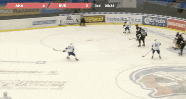 Univerzitní hokej GIF