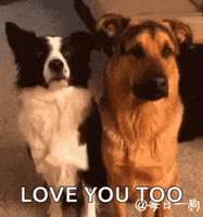 I Love You Too Gifs Get The Best Gif On Giphy