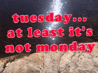 Tuesday-morning GIFs - Get the best GIF on GIPHY