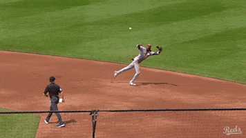 Baseball Mlb GIF by Cincinnati Reds