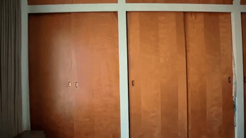 exit44ent  GIF