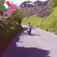 Italy Scooter GIF by Vespa Club Verona