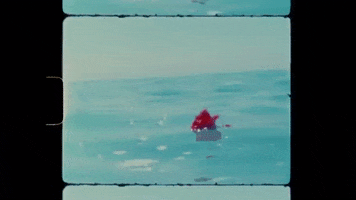Wave Rose GIF by PIXIES