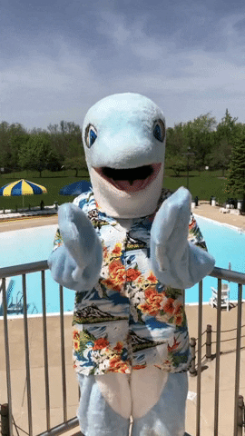 Dundee_Township_Park_District clap clapping pool splash GIF