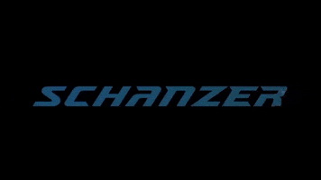 SchanzerRacing racing race motorsport electric GIF