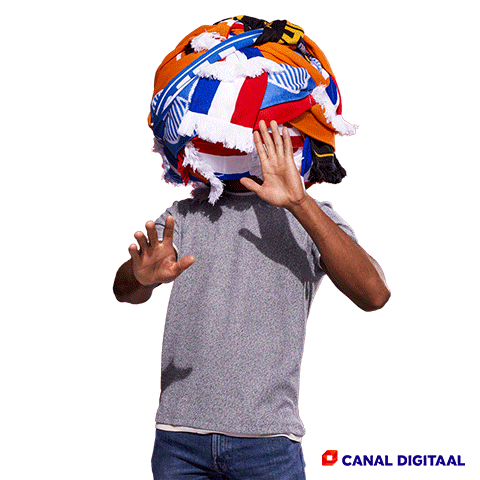 Soccer No GIF by Canal Digitaal