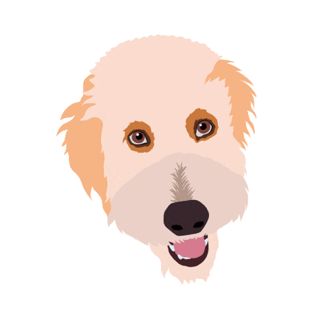 Behind The Scenes Photographer Sticker by Alisha Cohen