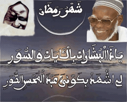 Ya Zal Boucharati GIF