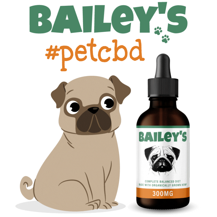 Cbd Oil Pug Sticker by Bailey's CBD