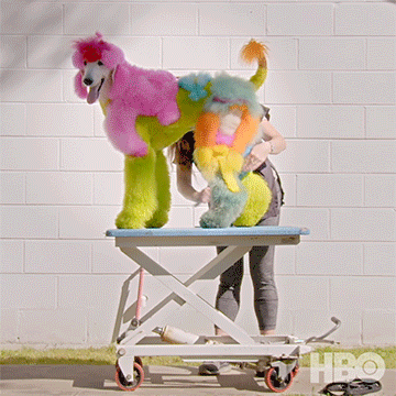 Dogs GIF by HBO