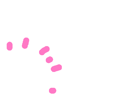 Pink Line Sticker For Ios Android Giphy