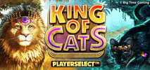 Game Cat GIF by Big Time Gaming